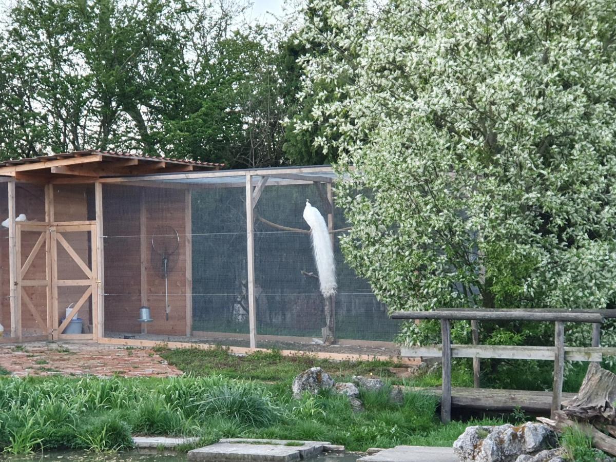 U Durkovych Konuk evi Zabokreky Nad Nitrou Dış mekan fotoğraf