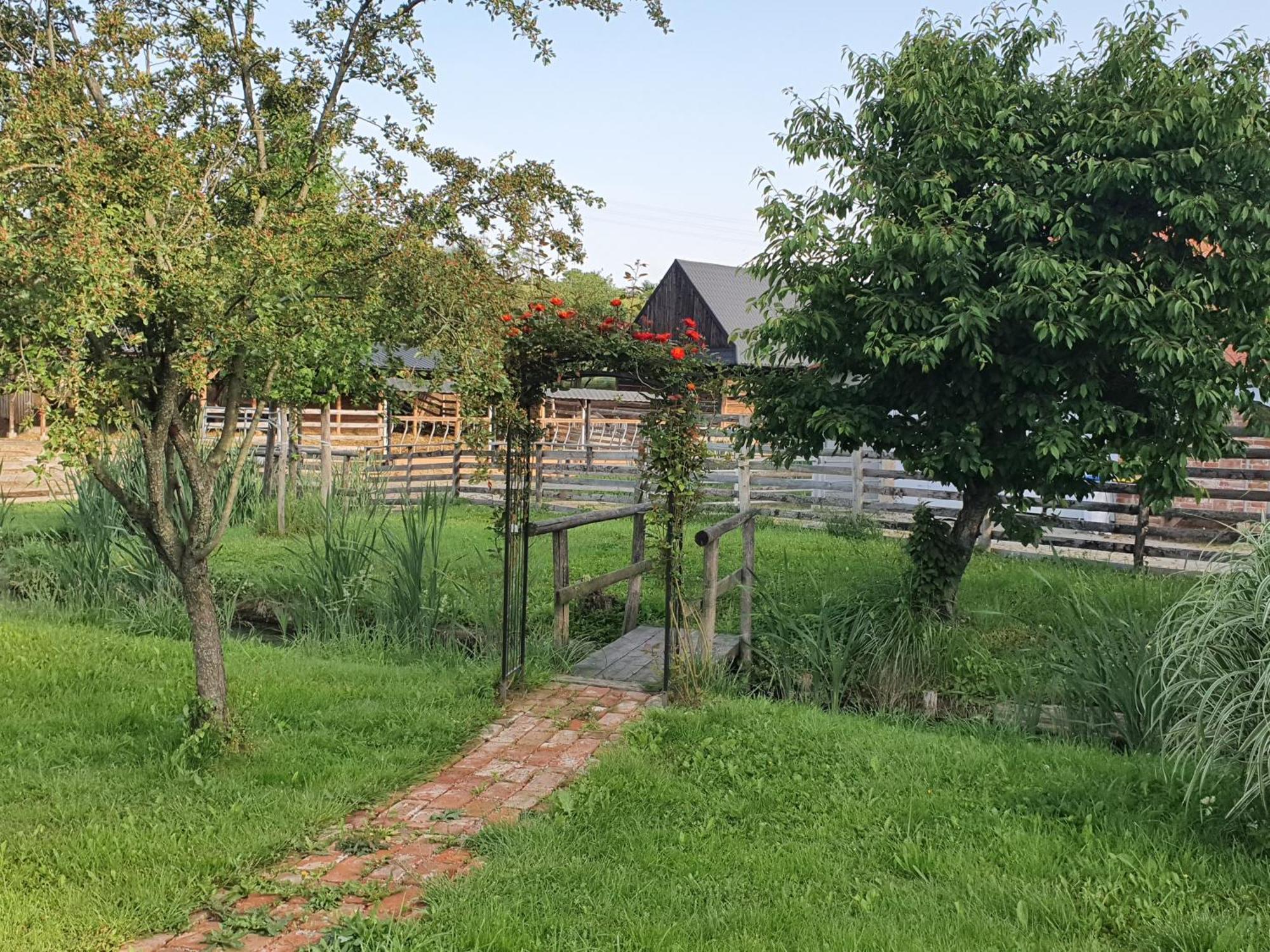 U Durkovych Konuk evi Zabokreky Nad Nitrou Dış mekan fotoğraf